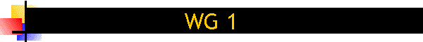 WG 1